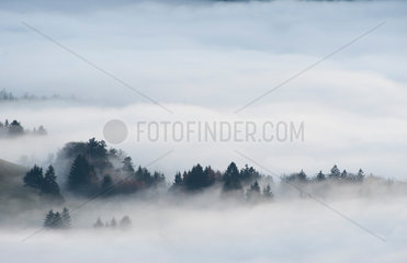Freiburg  Deutschland  Nebel im Tal am Berg Schauinsland bei Sonnenuntergang