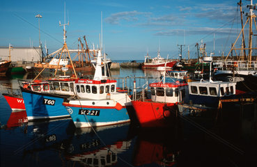 Irland  Kilmore Quay  Fischerhafen