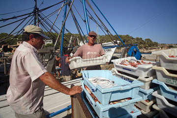 Cala Figuera  Fischer mit ihrem Fang im Hafen