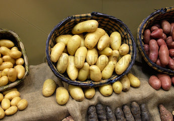 Berlin  Kartoffeln