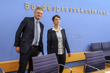 Meuthen + Petry