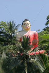 Galle  Sri Lanka  die Buddha-Figur des Tempels Yatagala Raja Maha Viharaya
