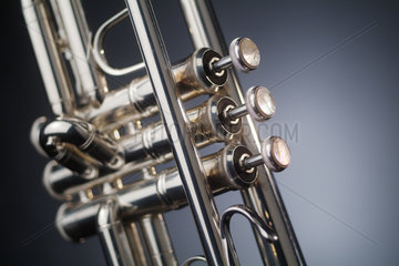 Die Pumpenventile einer Trompete