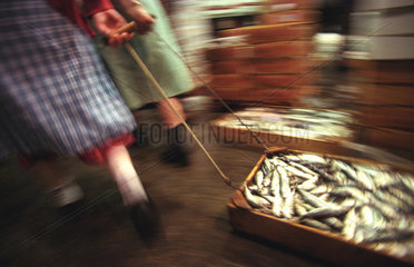 Fischmarkt im gallizischen La Coruna