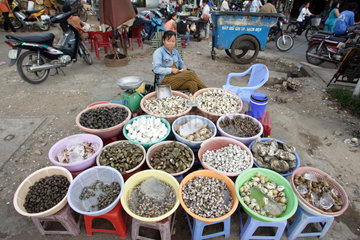 Vietnam  eine Strassenverkaeuferin verkauft exotische Lebensmittel