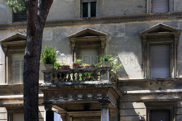 Rom  Italien  Pflanzen auf einem Balkon