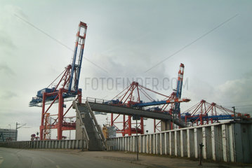 Hamburg  Containerhafen mit Verladekraenen
