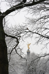 Berlin  winterlicher Tiergarten im Schnee