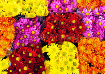 Blumenstraeusse in verschiedenen Farben