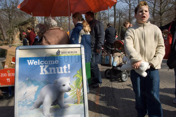 Berlin  Verkauf von Knutplueschtieren