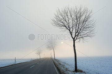 Bullendorf  Oesterreich  Landstrasse im Nebel
