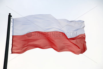Posen  Polen  polnische Fahne weht am Tag der Unabhaengigkeit (Swieto Niepodleglosci)