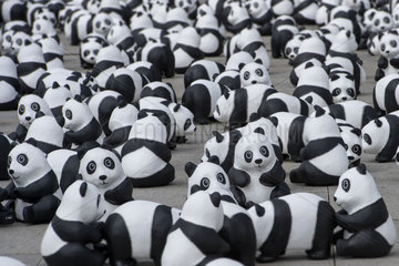 Berlin  Deutschland  der WWF feiert sein 50-jaehriges Jubilaeum