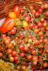 Riedlingen  Tomaten auf einem Bauernmarkt