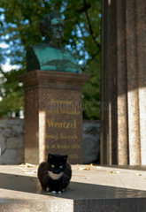 Berlin  Deutschland  Katze auf einem Grab auf dem Dorotheenstaedtischen Friedhof