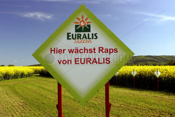 Roedinghausen  Schild der Firma Euralis Saaten vor einem Rapsfeld