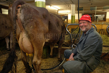 Tirol  eine Kuh wird durch eine Melkmaschine gemolken im Stall