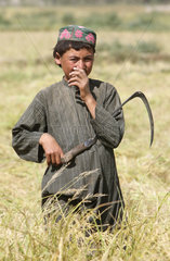 Kunduz  Afghanistan  Erntehelfer mit einer Sichel.