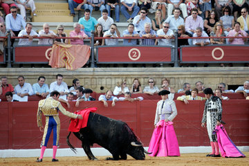 Enrique Ponce  a spanisch matador during a bullfight  Spanien