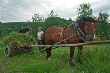 Ein Bauer bei seinem Pferdewagen  Sued-Ostpolen