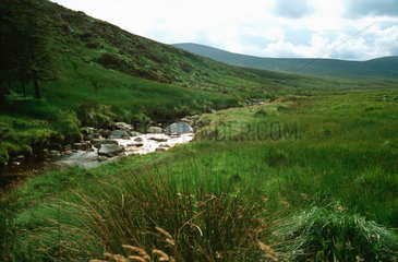 Irland  Wicklow Mountains
