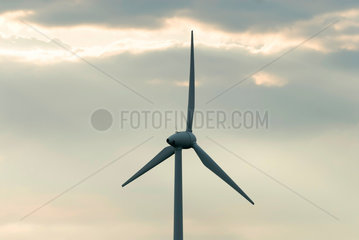 Emden  Deutschland  Windpark am Emder Aussenhafen