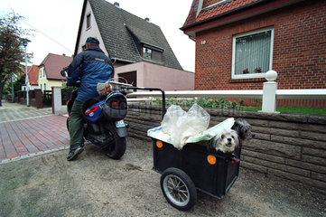 Zeitungstraeger mit einem Roller und Anhaenger  in dem zwei Hunde sitzen
