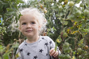 Little girl in vegetable garden