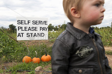 Little boy in pumpkin patch