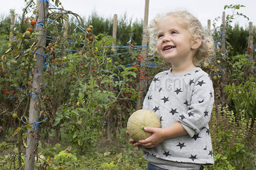 Little girl with cantaloupe in garden