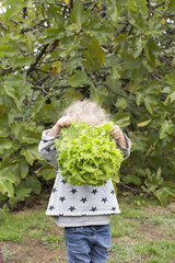 Girl holding head of lettuce