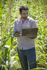 Scientist using laptop computer in field