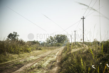 Dirt road through countryside