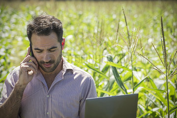 Farmer talking on cell phone in cornfield