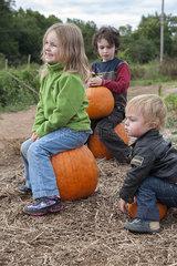 Children sitting on top of pumpkins