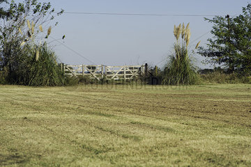 Rural field with rustic fence