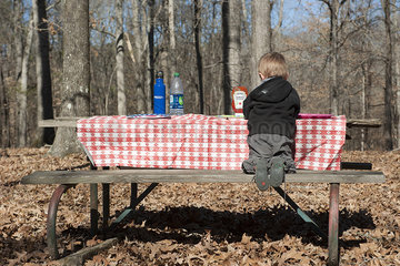 Boy sitting at picnic table  rear view