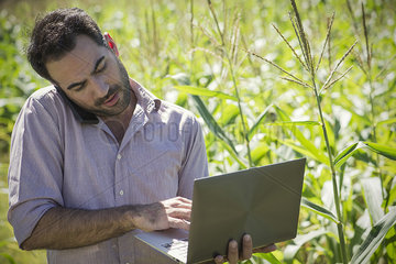 Scientist using laptop computer while talking on cell phone in cornfield