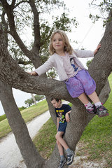 Children sitting on tree branches