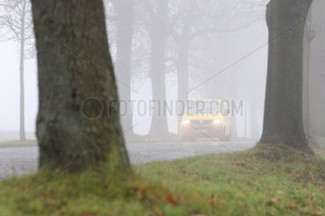 Wassmannsdorf  Deutschland  Autoverkehr auf einer Landstrasse bei Nebel