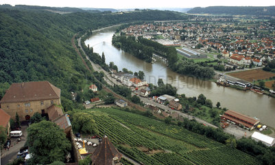 Der Neckar bei Neckarzimmern  Blick von der Burg