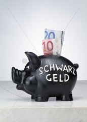 Hamburg  Deutschland  ein Schwarzgeldschwein mit Geldscheinen