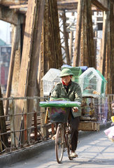 Vietnamesischer Voegelhaendler faehrt mit einem Fahrrad ueber eine Eisenbahnbruecke