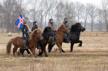 Beelitz  Deutschland  Ausritt mit Islandpferden