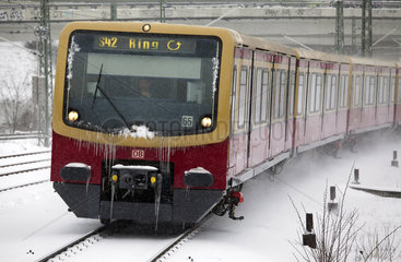 S-Bahnzug Baureihe 481