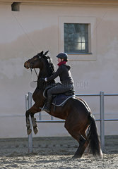 Neustadt (Dosse)  Deutschland  Pferd steigt unter seiner Reiterin