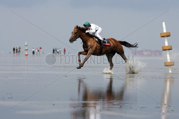 Cuxhaven  Deutschland  Pferd und Jockey beim Duhner Wattrennen