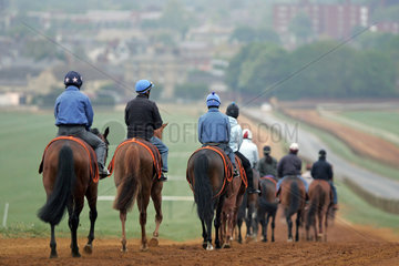 Newmarket  Grossbritannien  Pferde und Reiter beim Morgentraining
