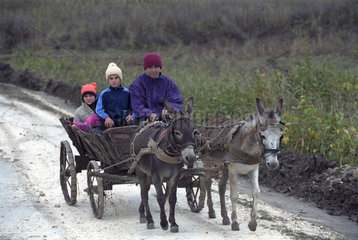 Einheimische auf einem Karren von Maultieren gezogen  Rumaenien