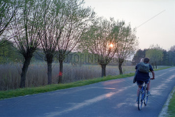 Fahrradfahrer auf einer Landstrasse  Polen